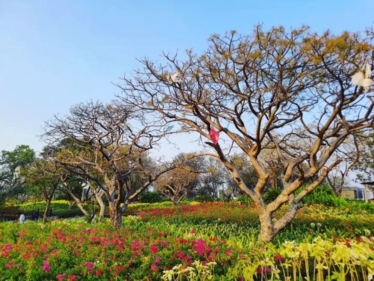 Delhi ECO Park: इस साल बनकर तैयार होगा भारत का सबसे बड़ा इको पार्क, पर्यटकों के साथ रोजगार को मिलेगा बढ़ावा
