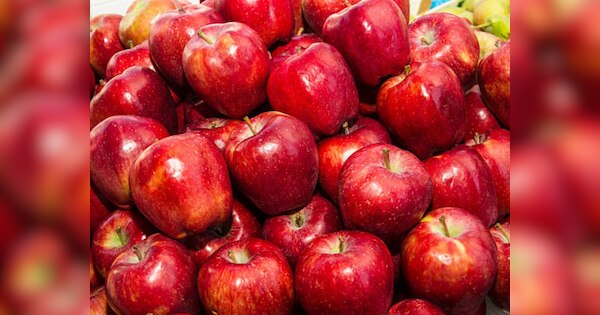 भारतीयों को खूब पसंद आ रहा Washington Apple का स्वाद, एक साल में लाल सेब का बढ़ा 16 गुना निर्यात