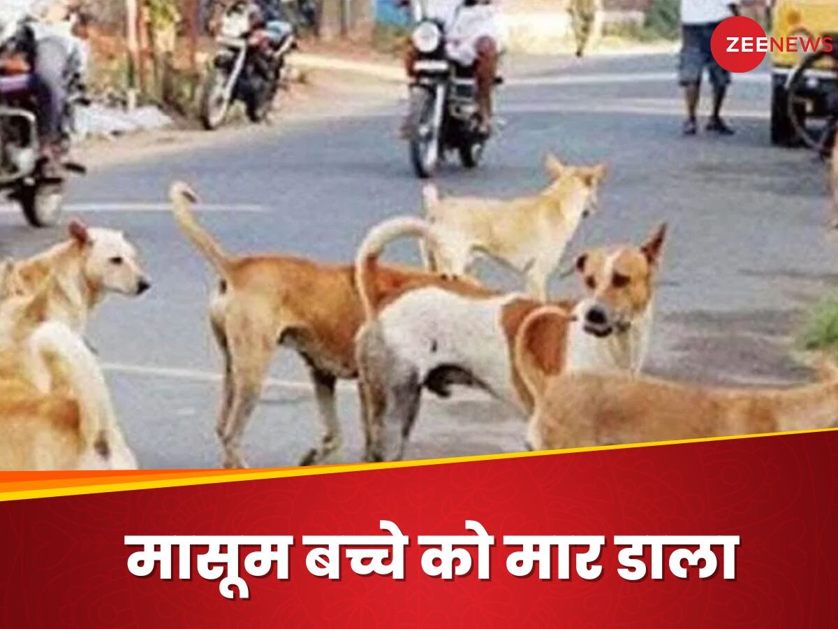 Muzaffarnagar: यूपी में आवारा कुत्तों का आतंक! 7 साल के मासूम को नोच-नोचकर मारा डाला