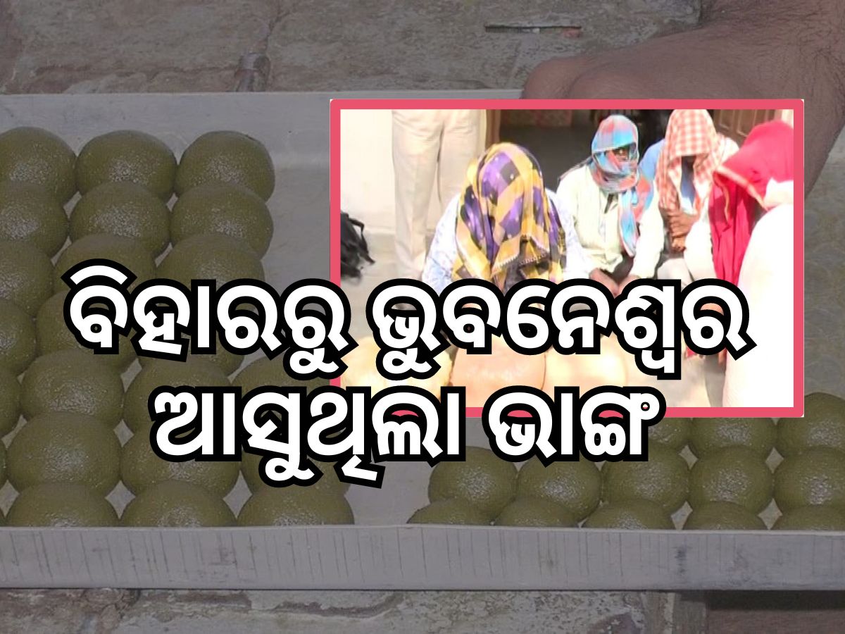 Crime News: ୩ ଭାଙ୍ଗ ବେପାରୀଙ୍କୁ ଧରିଲା ଅବକାରୀ ବିଭାଗ Crime News: ୩ ଭାଙ୍ଗ ବେପାରୀଙ୍କୁ ଧରିଲା ଅବକାରୀ ବିଭାଗ