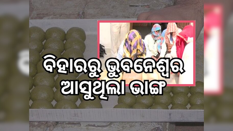Crime News: ୩ ଭାଙ୍ଗ ବେପାରୀଙ୍କୁ ଧରିଲା ଅବକାରୀ ବିଭାଗ