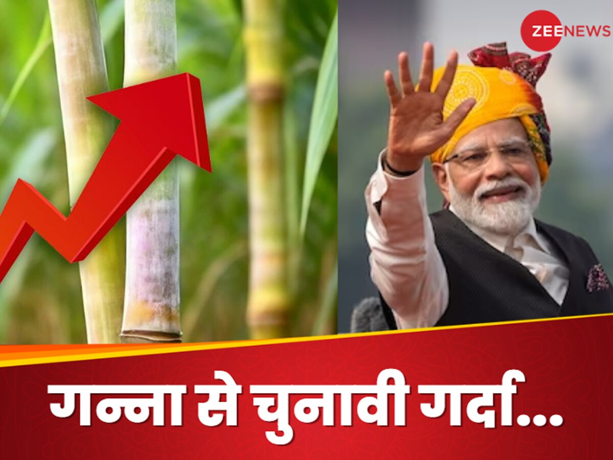 Loksabha Election: गन्ने से मोदी सरकार ने लॉक कर दीं लोकसभा की सीटें? 5 राज्यों के चुनाव में साबित होगा 'मास्टरस्ट्रोक'