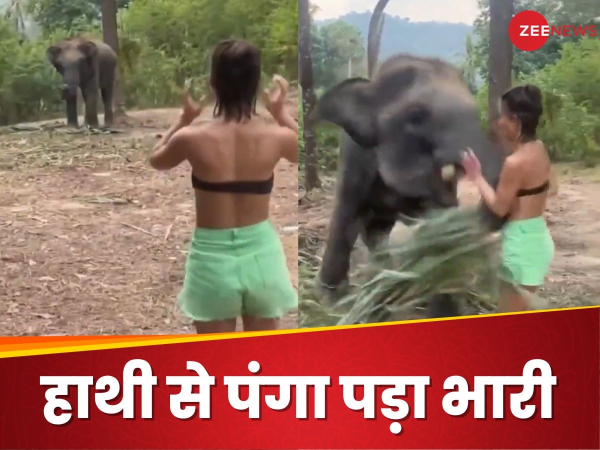 हाथी को खाने में किया डिस्टर्ब तो लड़की को सूंड़ से मारा, दूर जाकर गिरी; Video वायरल