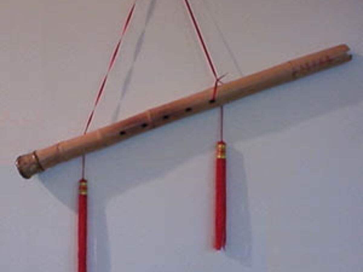 Feng Shui Tips: बांस की बांसुरी से दूर होंगी कई समस्याएं, वास्तु दोष हटाने के लिए ऐसे करें इस्तेमाल