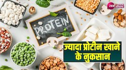 Health Tips: उम्र के हिसाब से बॉडी में कितना होना चाहिए प्रोटीन का लेवल? 