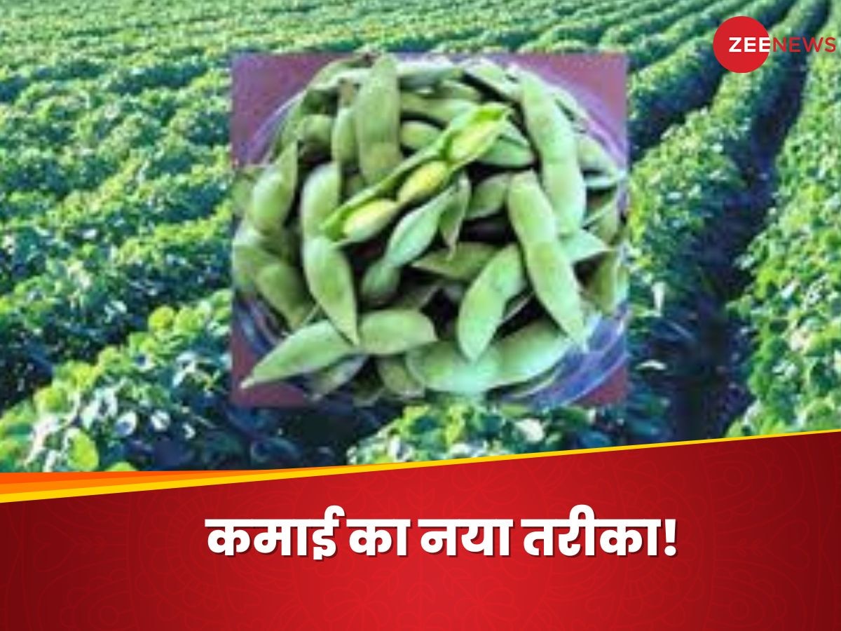 Agriculture News: किसानों की बढ़ेगी कमाई, अब आ गई स्पेशल सोयाबीन, मटर को भी देगी टक्कर