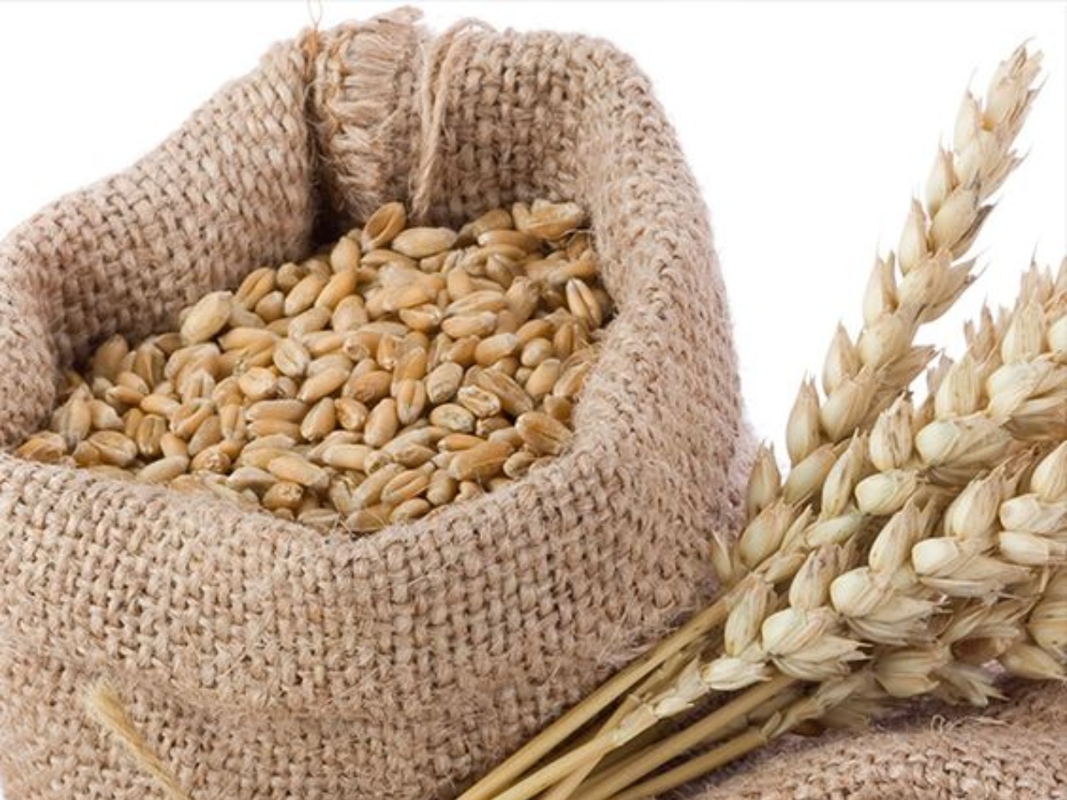 Kitchen Tips: लंबे समय से रखे गेहूं पर लग गए हैं कीड़े, ये 5 गजब के टिप्स आएंगे आपके बड़े काम... 14 सूती कपड़ा