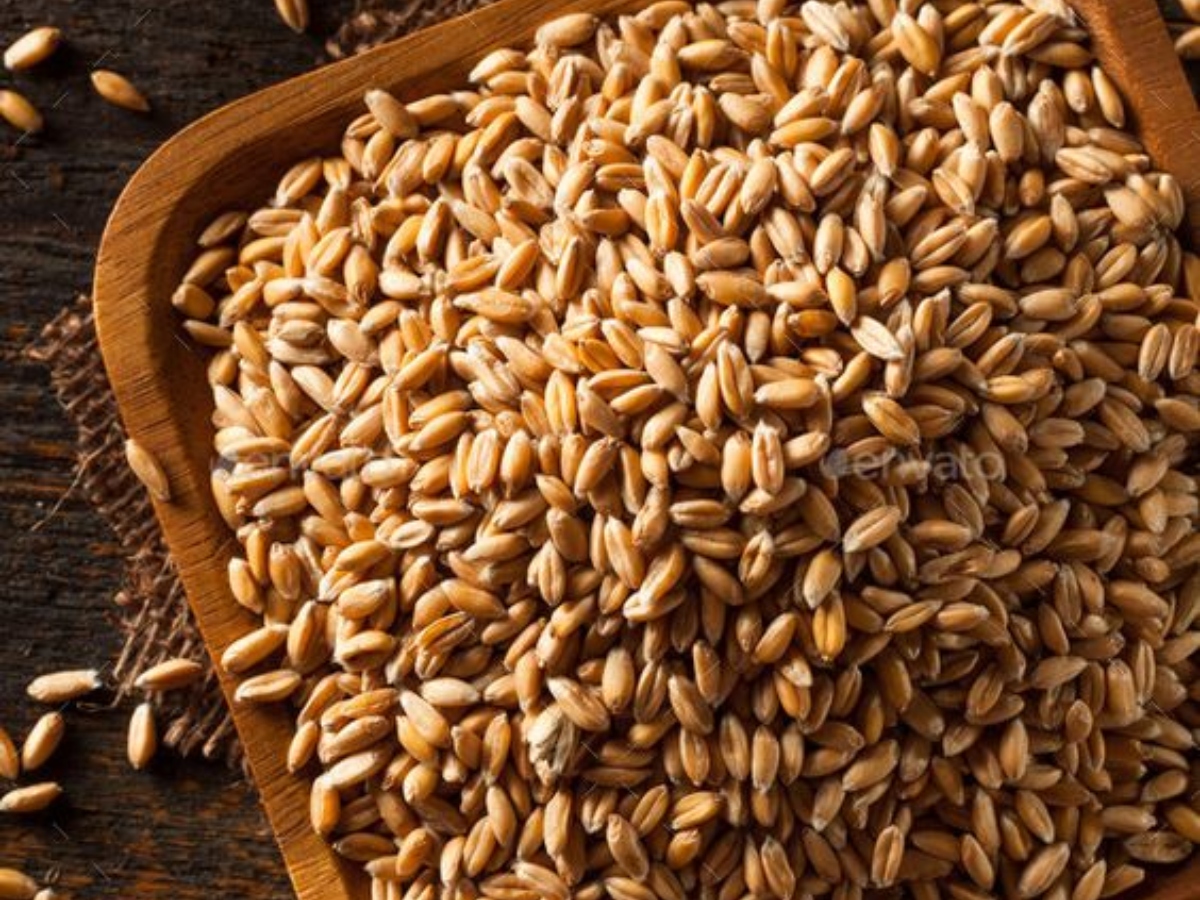 Kitchen Tips: लंबे समय से रखे गेहूं पर लग गए हैं कीड़े, ये 5 गजब के टिप्स आएंगे आपके बड़े काम... 12 डिब्बों के अच्छी तरह से साफ