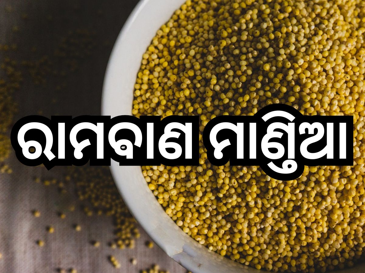 Millet Benefits: ସ୍ବାସ୍ଥ୍ୟ ସହ କେଶ ଓ ତ୍ବଚାର ସମସ୍ୟା ଦୂର କରିଥାଏ ମାଣ୍ତିଆ! ଏପରି କରନ୍ତୁ ବ୍ୟବହାର Millet Benefits: ସ୍ବାସ୍ଥ୍ୟ ସହ କେଶ ଓ ତ୍ବଚାର ସମସ୍ୟା ଦୂର କରିଥାଏ ମାଣ୍ତିଆ! ଏପରି କରନ୍ତୁ ବ୍ୟବହାର