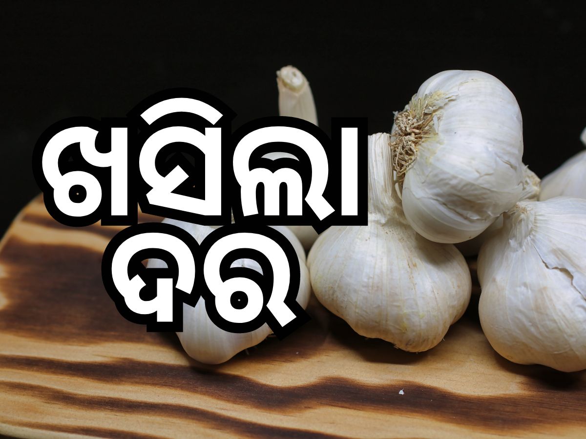 Garlic Price: ଶସ୍ତା ହେଲା ରସୁଣ, ଏକାଥରେ କମିଲା ୧୫୦ ଟଙ୍କା... Garlic Price: ଶସ୍ତା ହେଲା ରସୁଣ, ଏକାଥରେ କମିଲା ୧୫୦ ଟଙ୍କା...