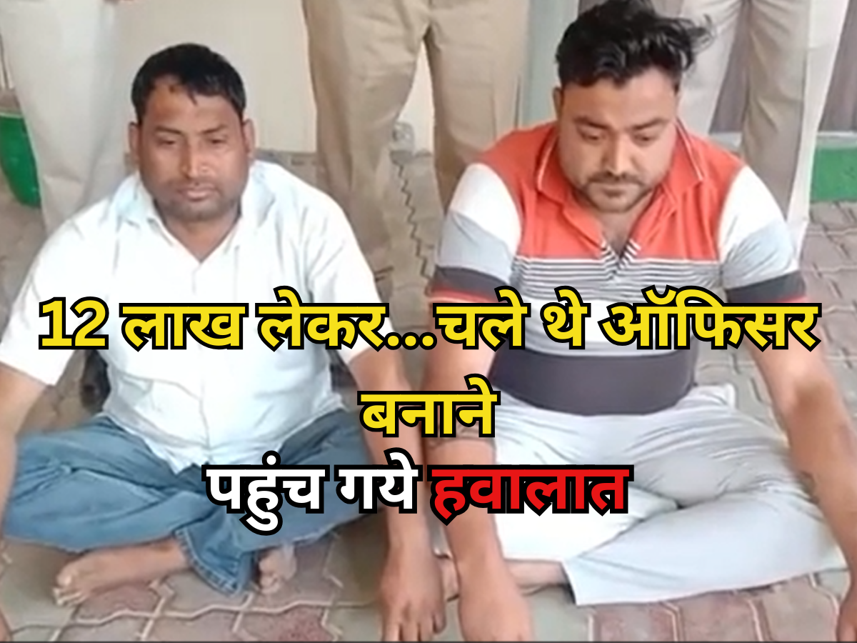 Rajasthan Crime : Income Tax ऑफिसर बनाने का ख्वाब दिखाकर 12 लाख की ठगी, फर्जी ज्वाइनिंग लेटर दिया थमा Rajasthan Crime : Income Tax ऑफिसर बनाने का ख्वाब दिखाकर 12 लाख की ठगी, फर्जी ज्वाइनिंग लेटर दिया थमा
