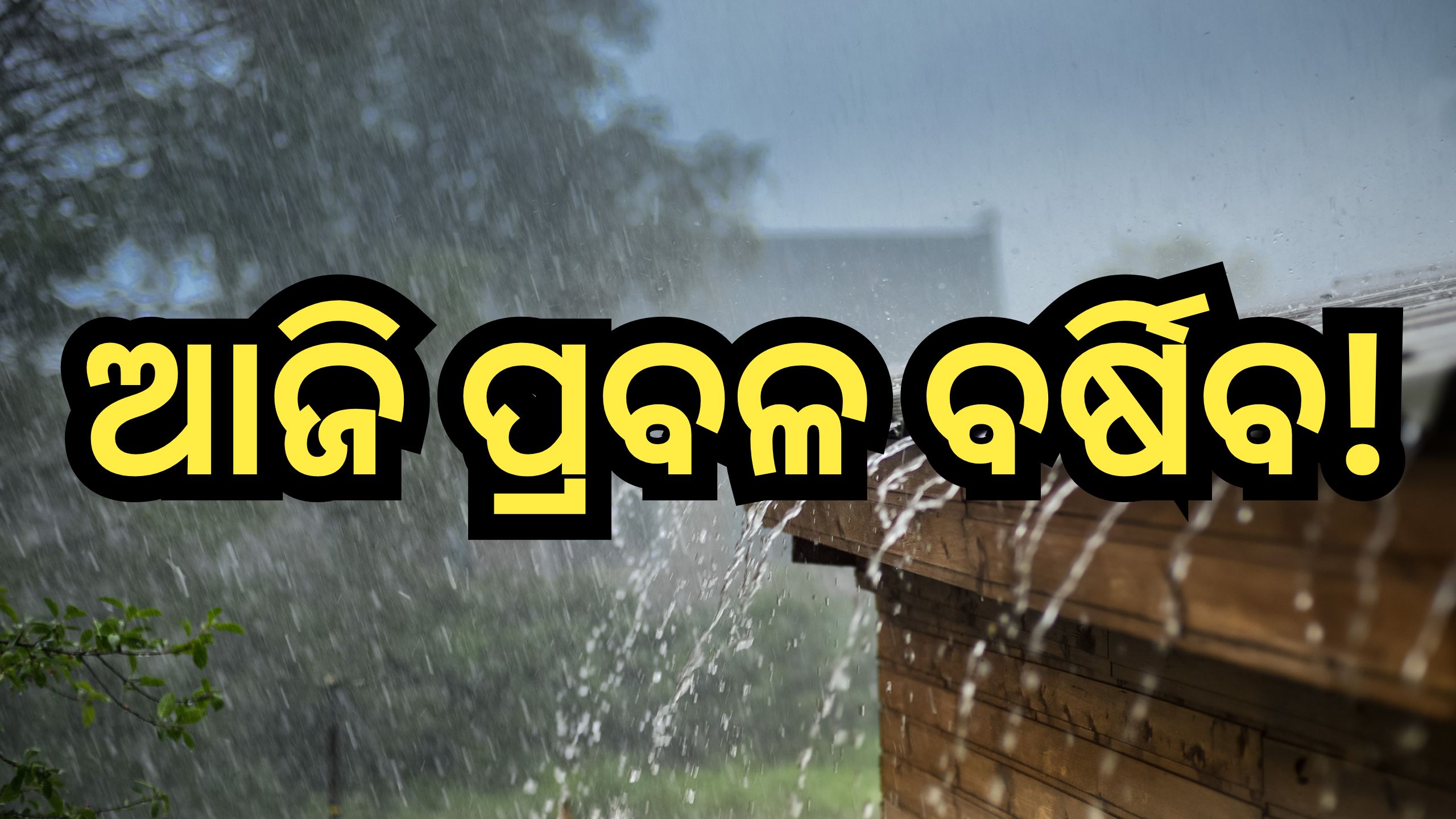 Weather Update: ଆଜି ୧୨ ଜିଲ୍ଲାରେ ବିଜୁଳି ଘଡ଼ଘଡି଼ ସହ ବର୍ଷା ସମ୍ଭାବନା Weather Update: ଆଜି ୧୨ ଜିଲ୍ଲାରେ ବିଜୁଳି ଘଡ଼ଘଡି଼ ସହ ବର୍ଷା ସମ୍ଭାବନା