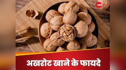 सुबह अखरोट खाने से हड्डियां रहती हैं मजबूत, जानें न्यूट्रिशन एक्सपर्ट से फायदे