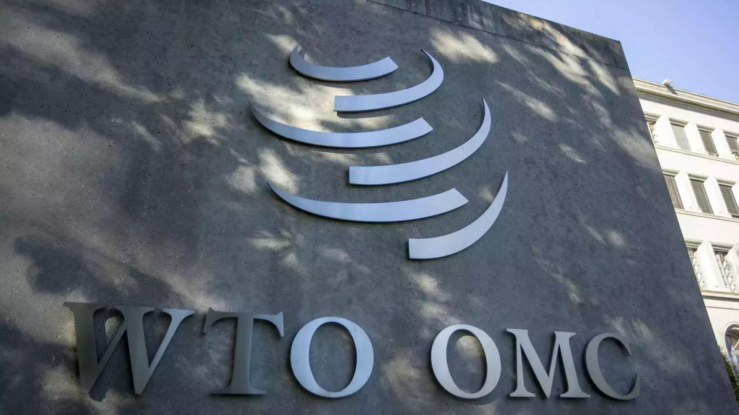 WTO: ଆଜିଠାରୁ WTO ମନ୍ତ୍ରୀସ୍ତରୀୟ ବୈଠକ, ଭାରତ ସମେତ ୧୬୪ଟି ଦେଶର ପ୍ରତିନିଧି ହେବେ ସାମିଲ୍ WTO: ଆଜିଠାରୁ WTO ମନ୍ତ୍ରୀସ୍ତରୀୟ ବୈଠକ, ଭାରତ ସମେତ ୧୬୪ଟି ଦେଶର ପ୍ରତିନିଧି ହେବେ ସାମିଲ୍