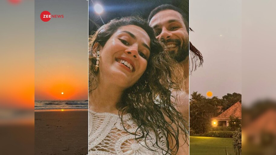 Mira Rajput Pens The Sweetest Birthday Wish For Shahid Kapoor My Sun ...