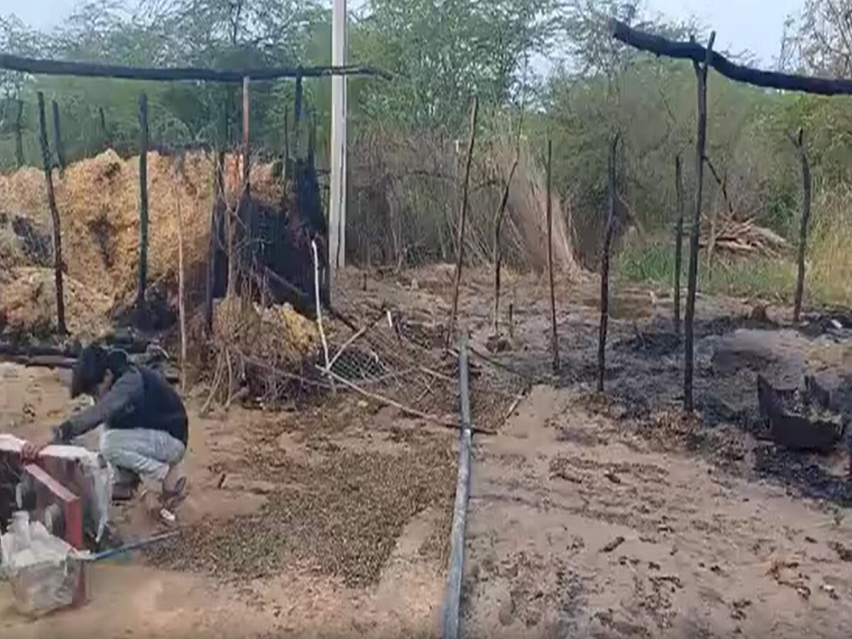 Sawai Madhopur News: शॉर्ट सर्किट से बाड़े में लगी आग, एक भैंस की मौत, दो बुरी तरह से झुलसी