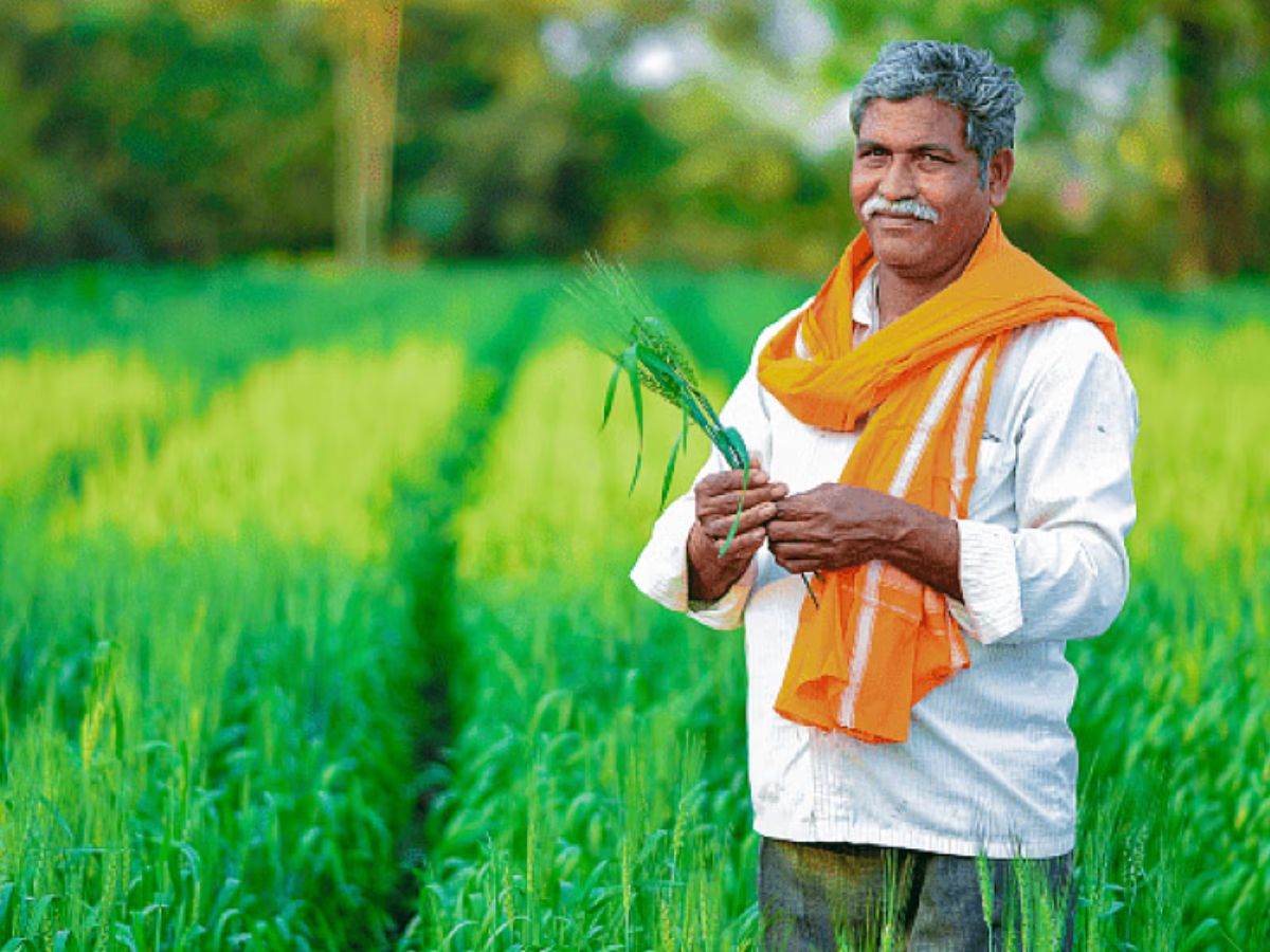PM Kisan: ଏହି ଦିନ ଚାଷୀଙ୍କ ଆକାଉଣ୍ଟକୁ ଯିବ ପିଏମ୍ କିଷାନ ଯୋଜନାର ୧୬ତମ କିସ୍ତି PM Kisan: ଏହି ଦିନ ଚାଷୀଙ୍କ ଆକାଉଣ୍ଟକୁ ଯିବ ପିଏମ୍ କିଷାନ ଯୋଜନାର ୧୬ତମ କିସ୍ତି