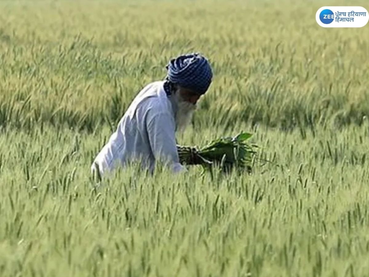 PM kisan yojana: ਪੀਐਮ ਕਿਸਾਨ ਸਨਮਾਨ ਨਿਧੀ ਯੋਜਨਾ ਦੀ 16ਵੀਂ ਕਿਸ਼ਤ ਅੱਜ ਹੋਵੇਗੀ ਜਾਰੀ