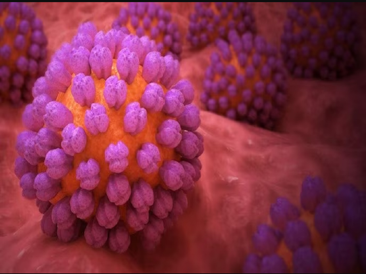 Norovirus:ନୋରୋଭାଇରସ କ’ଣ ? ଯେଉଁ ପେଟରୋଗରେ ମଲେଣି ଲକ୍ଷାଧିକ ଆମେରିକୀୟ Norovirus:ନୋରୋଭାଇରସ କ’ଣ ? ଯେଉଁ ପେଟରୋଗରେ ମଲେଣି ଲକ୍ଷାଧିକ ଆମେରିକୀୟ