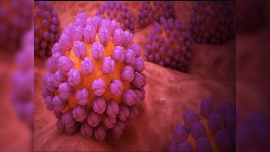 Norovirus:ନୋରୋଭାଇରସ କ’ଣ ? ଯେଉଁ ପେଟରୋଗରେ ମଲେଣି ଲକ୍ଷାଧିକ ଆମେରିକୀୟ