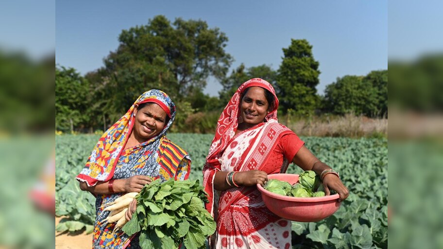 Odisha News: କୃଷକଙ୍କ ଆୟକୁ ବହୁଗୁଣିତ କରିଛି ଜୀବିକା ସମୃଦ୍ଧି ପ୍ରକଳ୍ପ