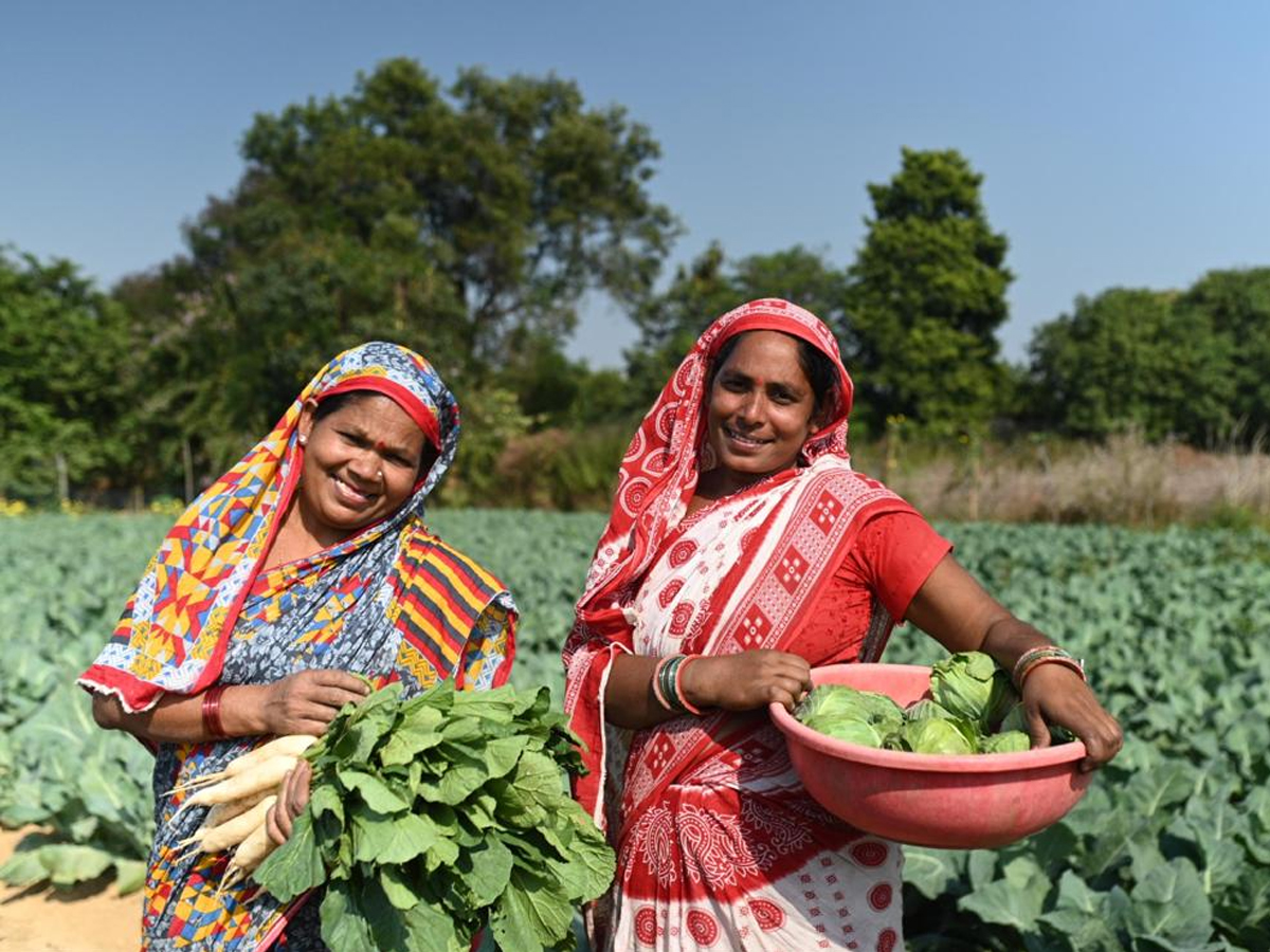 Odisha News: କୃଷକଙ୍କ ଆୟକୁ ବହୁଗୁଣିତ କରିଛି ଜୀବିକା ସମୃଦ୍ଧି ପ୍ରକଳ୍ପ Odisha News: କୃଷକଙ୍କ ଆୟକୁ ବହୁଗୁଣିତ କରିଛି ଜୀବିକା ସମୃଦ୍ଧି ପ୍ରକଳ୍ପ