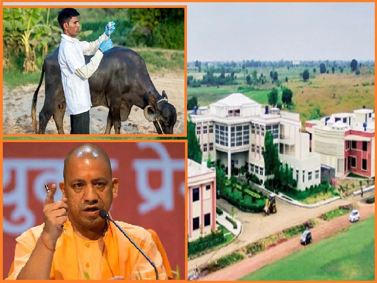 purvanchal first veterinary college