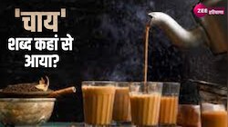 Tea interesting facts: जानिए चीन की चा से लेकर भारत की चाय बनने तक की कहानी 