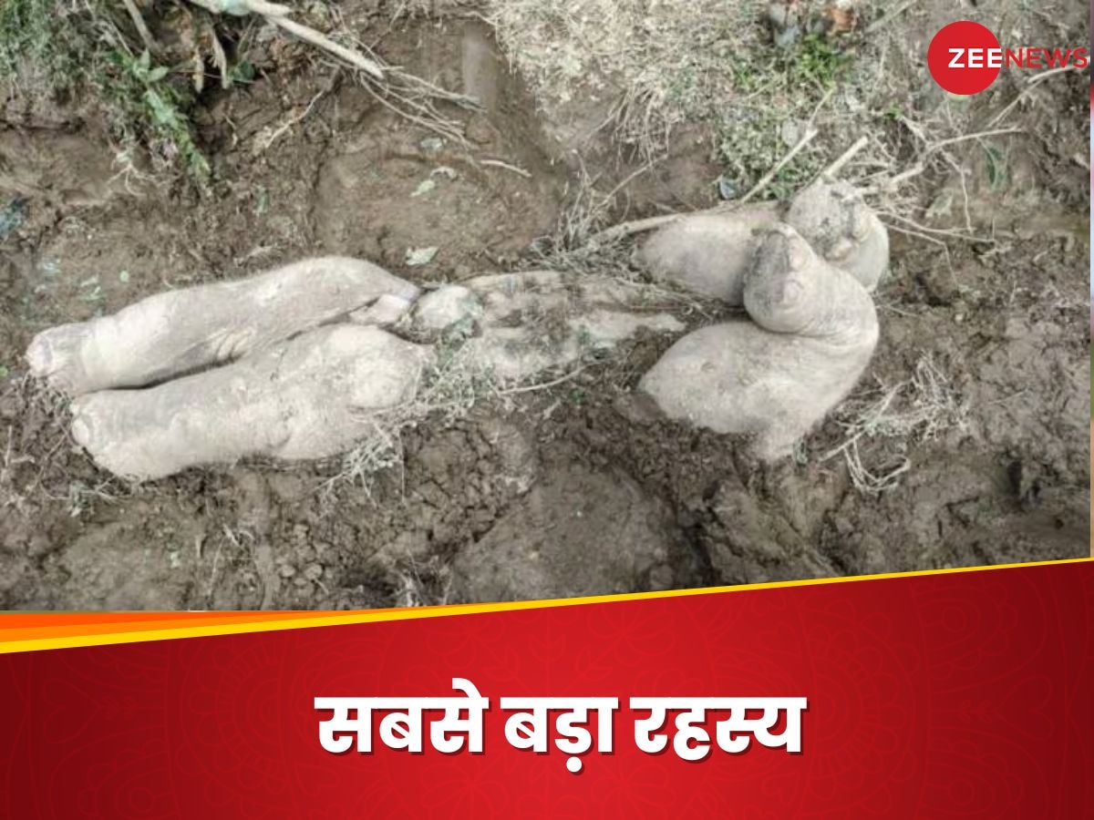 Interesting news: हाथी असमय गुजरने वाले अपने बच्‍चों को कैसे दफनाते हैं? पहली बार सच्‍चाई आई सामने