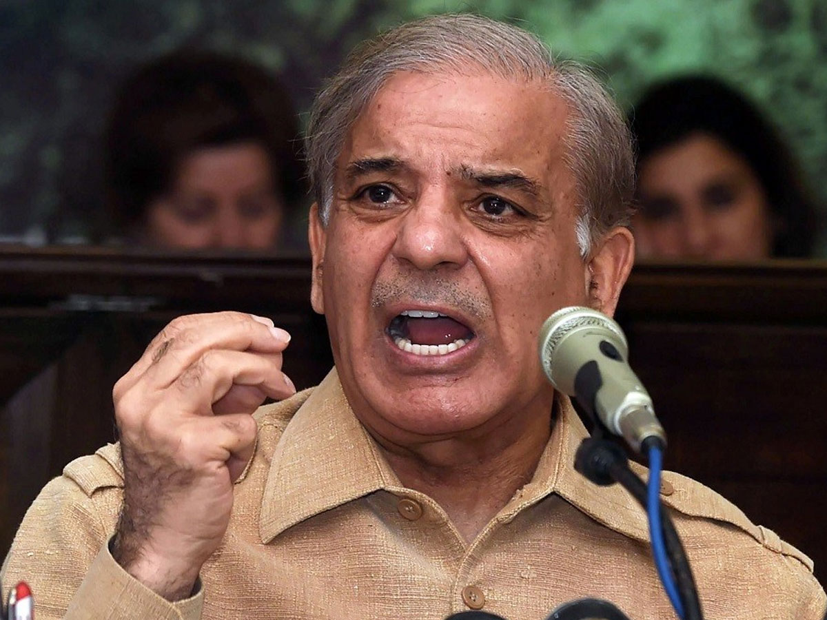 Pakistan New PM: पाकिस्तान के 33वें PM बनेंगे शहबाज शरीफ; 13 मार्च को ऐवान-ए-सद्र में दिलाई जाएगी शपथ Pakistan New PM: पाकिस्तान के 33वें PM बनेंगे शहबाज शरीफ; 13 मार्च को ऐवान-ए-सद्र में दिलाई जाएगी शपथ