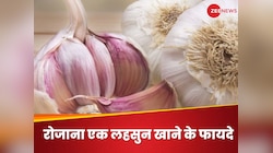 रोजाना एक लहसुन खाने से दूर हो सकती हैं ये बीमारियां, डाइटीशियन से जानें फायदे