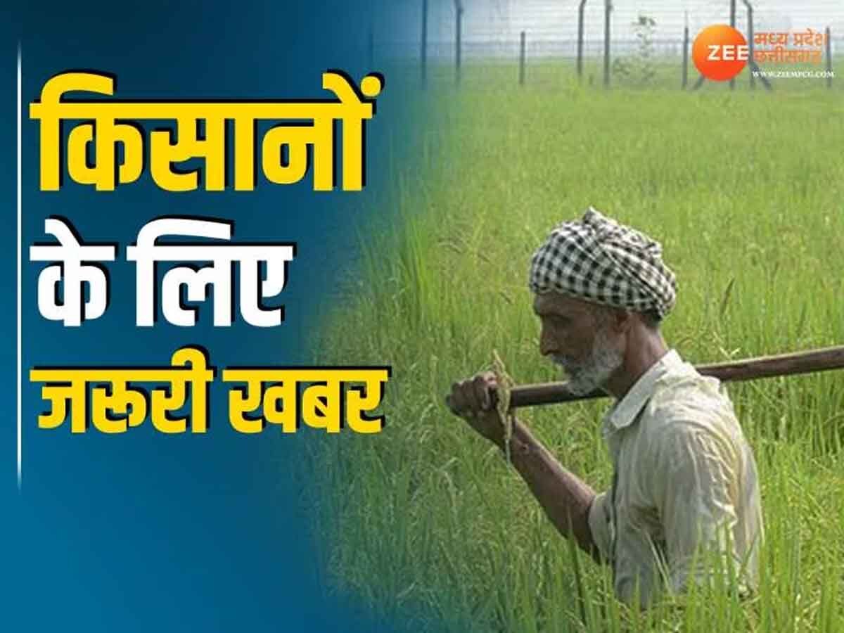 CM Mohan Yadav: CM मोहन यादव ने कलेक्टरों को दिए निर्देश, खराब हुई फसलों का तत्काल हो सर्वे