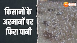 UP Weather Update: कानपुर देहात समेत कई जगहों पर तेज बारिश के साथ गिरे ओले