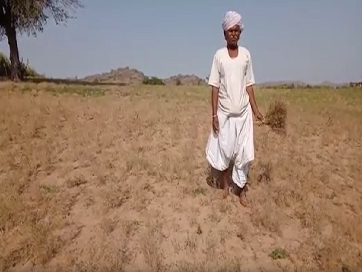 Raniwara Farmer Zee Rajasthan 