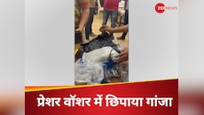 कार वॉशर में शख्स ने छिपाया गांजा, ऐसा जुगाड़ देख कस्टम डिपार्टमेंट के उड़े होश 