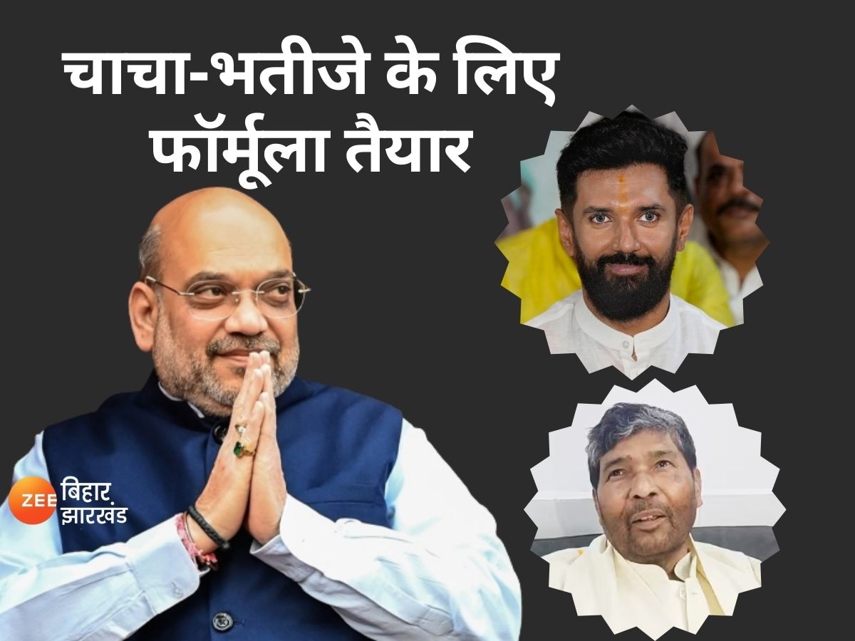 BJP ने 'चाचा-भतीजे' के लिए फॉर्मूला खोजा!