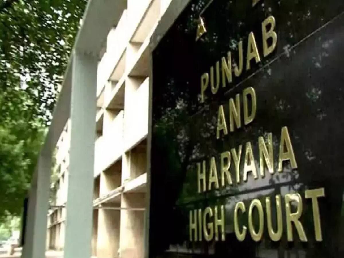 HSSC Recruitment Case: हरियाणा की 41 हजार भर्तियों पर आज हाईकोर्ट सुनाएगा फैसला, आर्थिक सामाजिक अंकों पर फंसा पेंच 