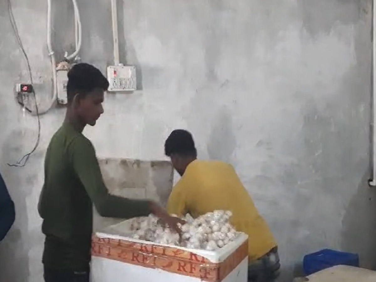Chapra News: मशरूम की खेती कर ये किसान करता है करोड़ों रुपये की कमाई, 50 लोगों को दे रहा रोजगार