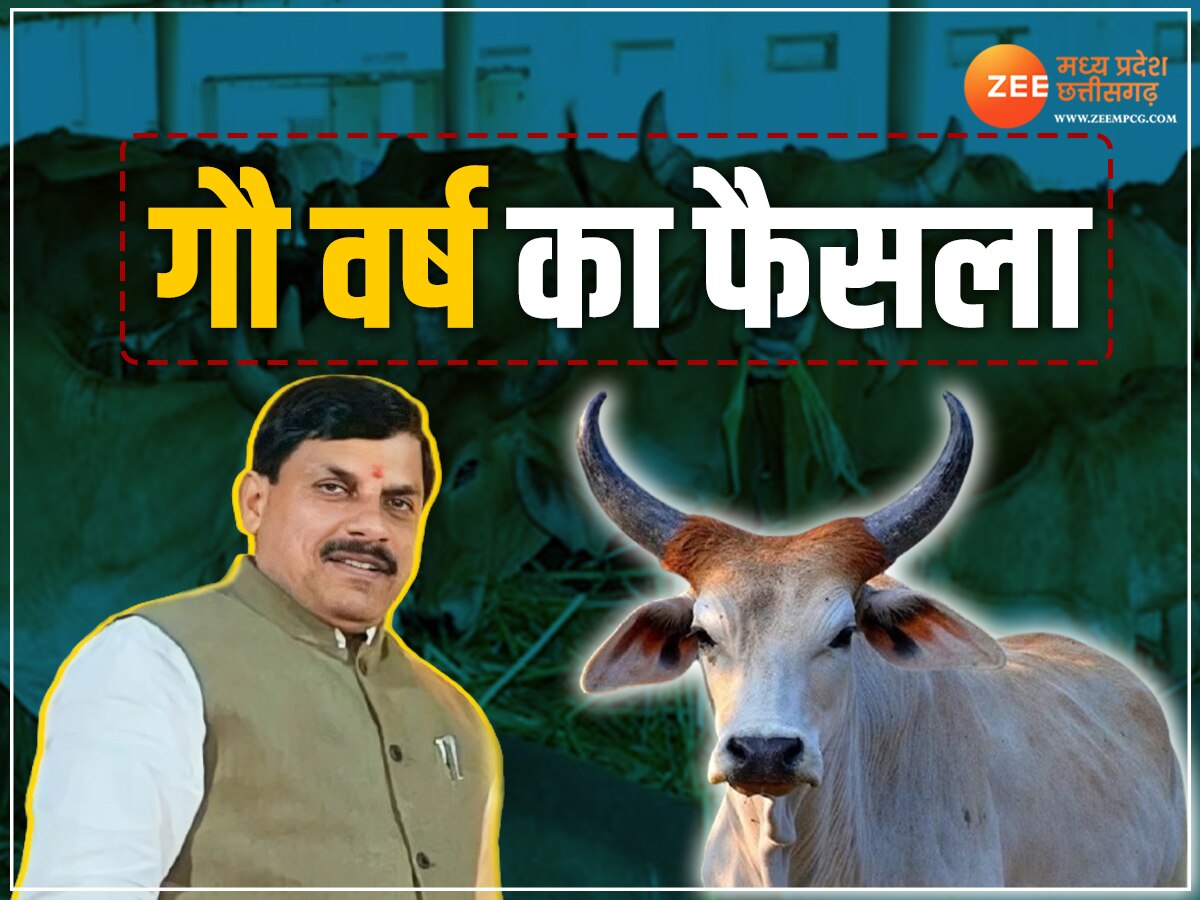 MP News: मध्य प्रदेश में होगा गौ वर्ष, गायों के लिए CM मोहन यादव ने लिए कई फैसले