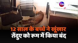 Viral Video: 12 साल के बच्चे ने खूंखार तेंदुए को रूम में किया बंद, देखिए वीडियो