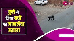 Dog attack Video: फतेहाबाद में बच्चे पर कुत्ते ने बोला हमला, वीडियो वायरल 