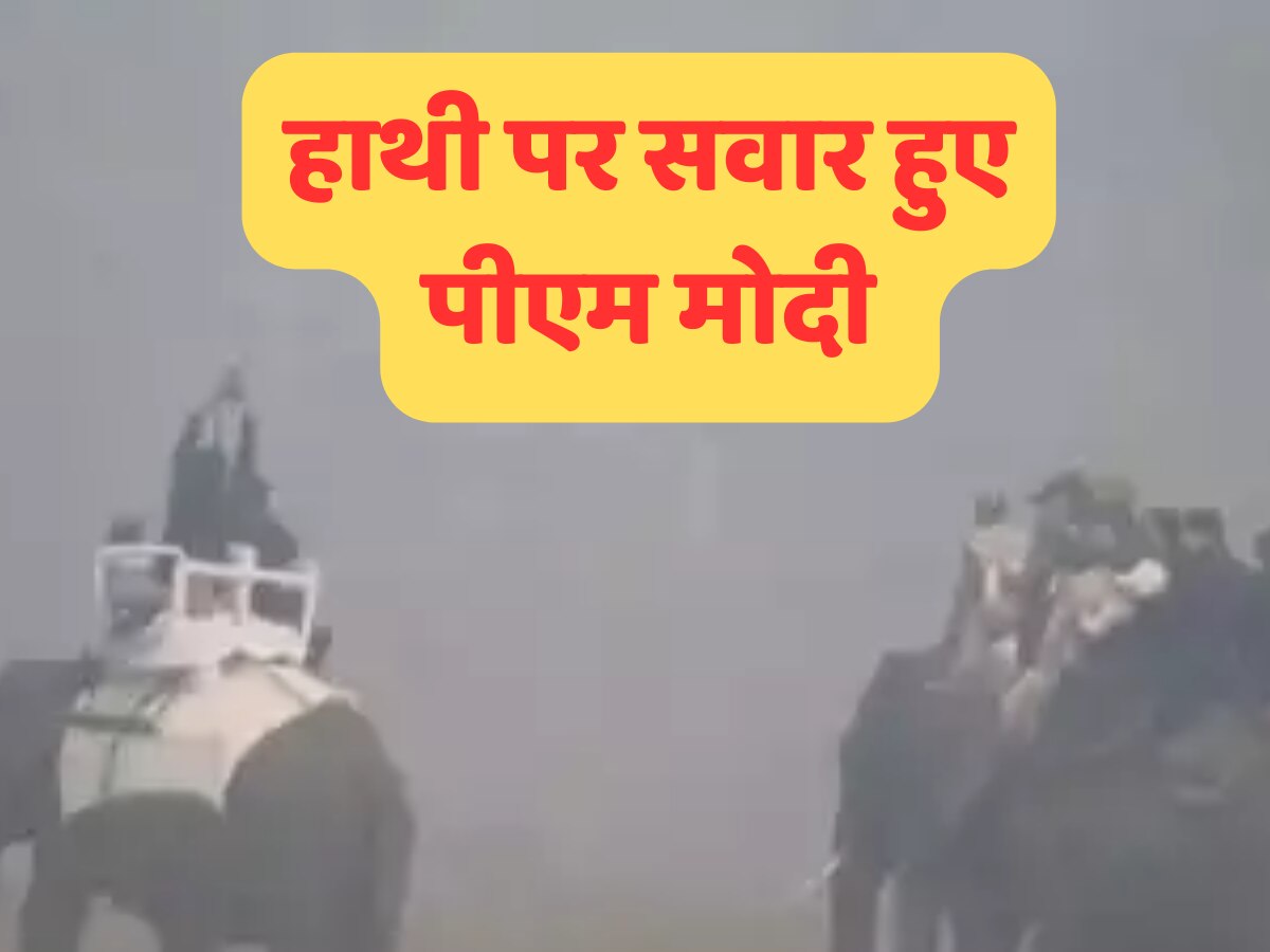 PM Modi Elephant Safari: असम में हाथी पर सवार होकर जंगल सफारी के लिए निकले पीएम मोदी, देखें VIDEO
