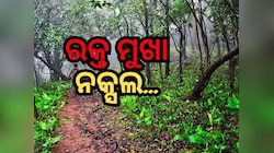 ପୁଣି ସକ୍ରିୟ ନକ୍ସଲ, ପୋଲିସ ଇନଫର୍ମର ସନ୍ଦେହରେ ଦମ୍ପତିଙ୍କୁ ହତ୍ୟା !