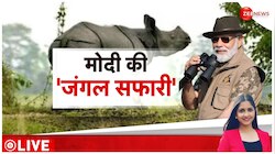 PM Modi visit in Assam: PM मोदी ने काजीरंगा नेशनल पार्क में की जंगल सफारी 