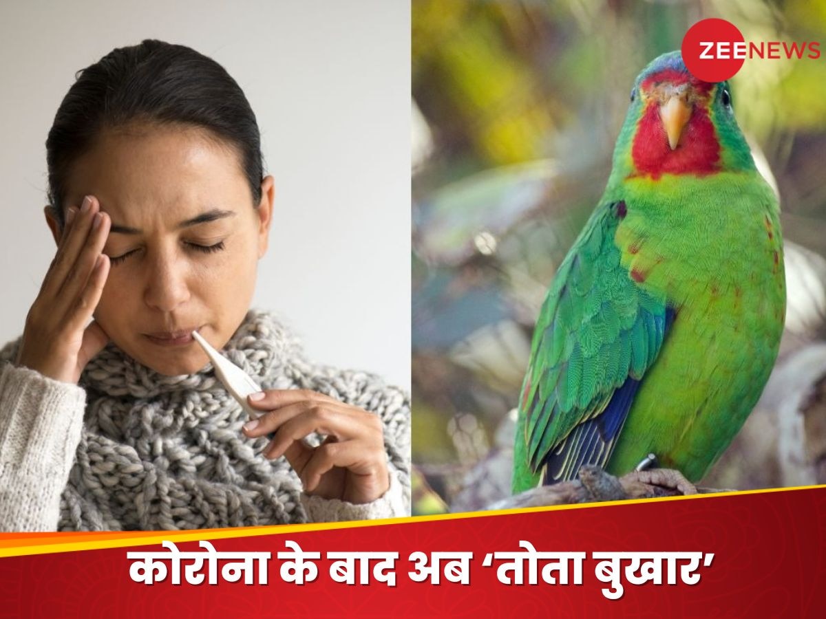 तोता बुखार (Parrot Fever) से डेनमार्क में चार और नीदरलैंड में एक इंसान की मौत हो चुकी है.