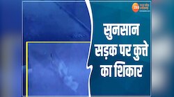 Leopard attack: तेंदुए ने किया कुत्ते का शिकार, CCTV में कैद सबकुछ