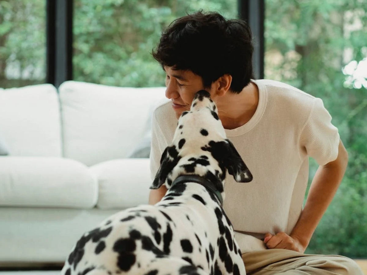 क्या आपका पालतू कुत्ता भी चाटता है आपको? जानें कैसे बन सकता है यह आपके लिए जानलेवा