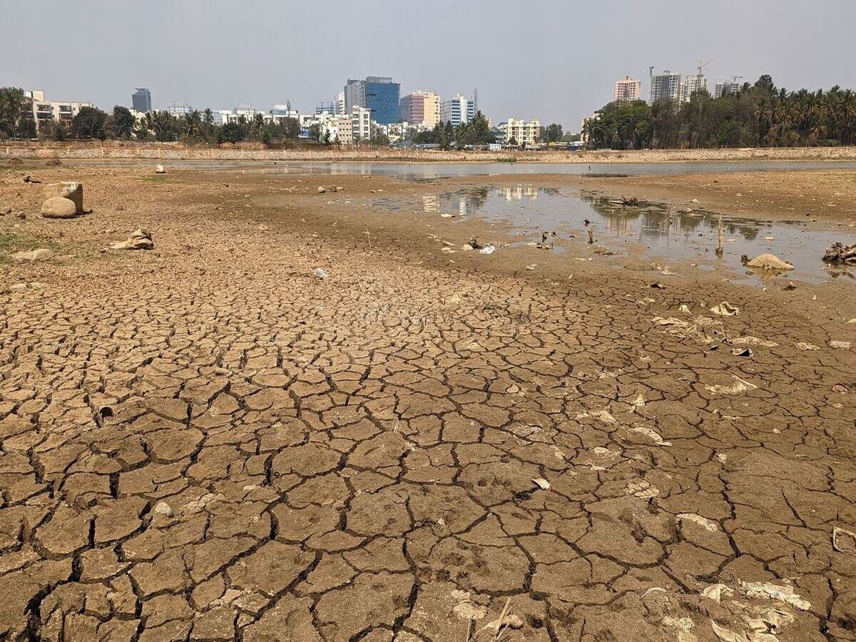 Bengaluru Water Crisis: କାହିଁକି ବେଙ୍ଗାଲୁରୁରେ ସୃଷ୍ଟି ହୋଇଛି ଜଳ ସଙ୍କଟ? ସାମ୍ନାକୁ ବଡ଼ କାରଣ 