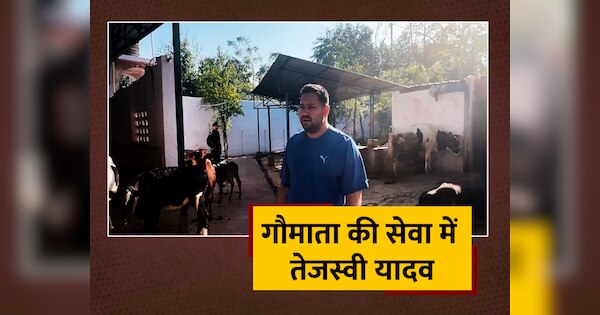 Tejashwi Yadav With Cows In Cow Shed Patna Bihar Politics | Bihar ...