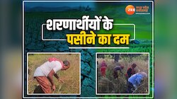 भारत में मिली शरण तो बंजर जमीन को बनाया उपजाऊ, जानें बैतूल के रेफ्यूजी गांव की कहानी